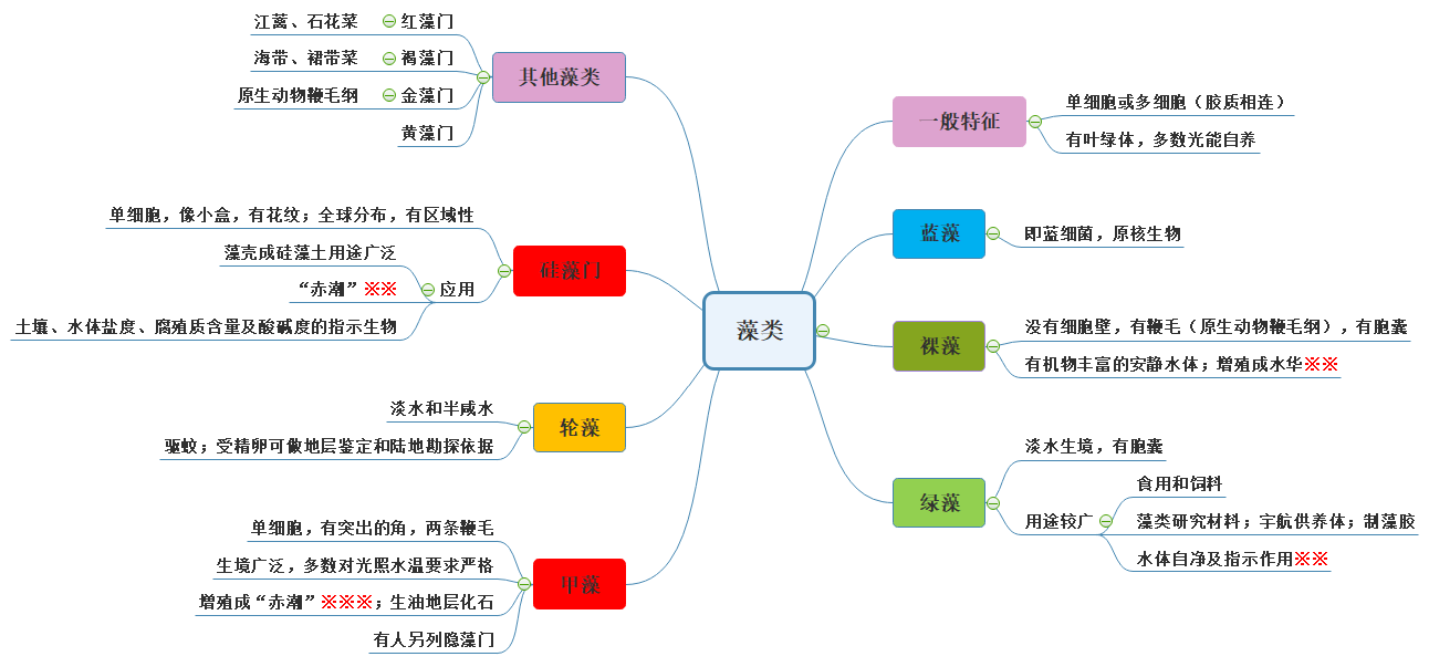 思维导图梳理课程内容