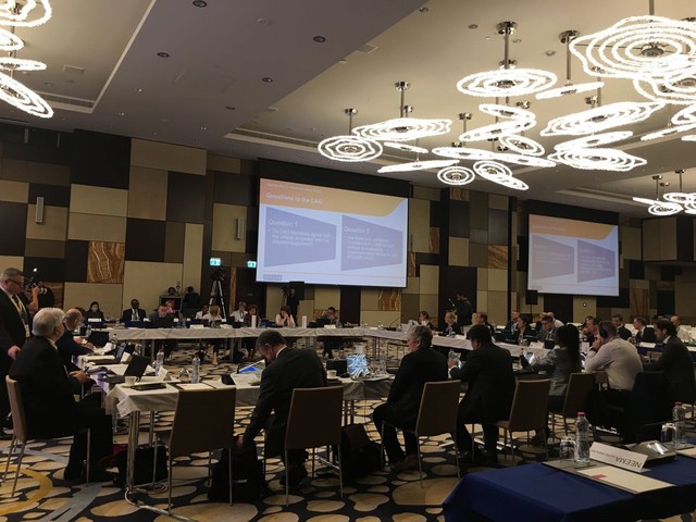 张琦等出席国际公共部门会计准则理事会例会