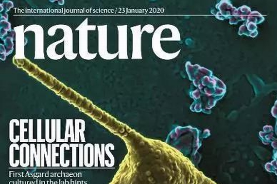 《Nature》刊发北航杨树斌教授课题组在单层二维材料研究方面取得的最新进展