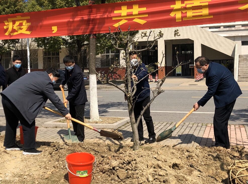 同心战“疫”，共植希望——我校开展2020年主题植树活动