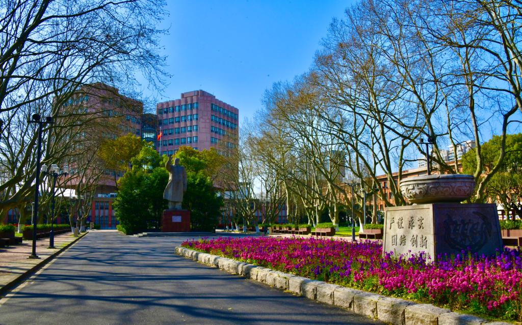 云赏同济园②：又一组美图带你看看久违校园里的春光、春色、春景