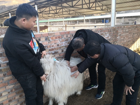 疫情下的农业生产（2）
