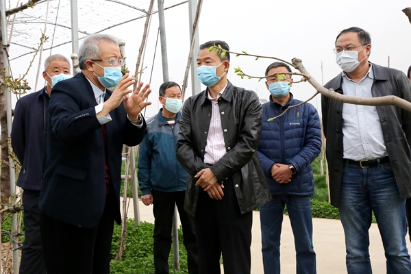 李兴旺赴5个试验示范站就疫情防控和推广队伍建设开展调研
