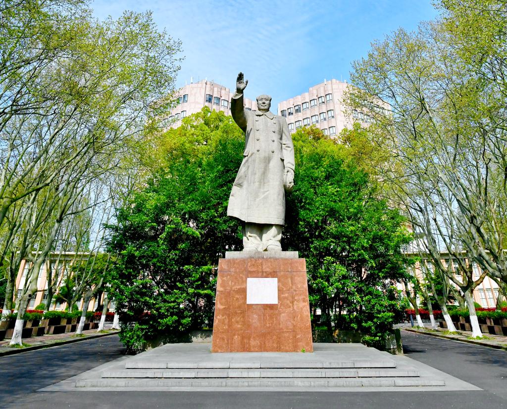 云赏同济园④：一组最新美图带您“云中漫步”四月的同济校园