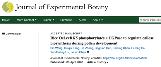 陈乐天教授课题组揭示凝集素受体激酶在胼胝质生物合成中的分子机