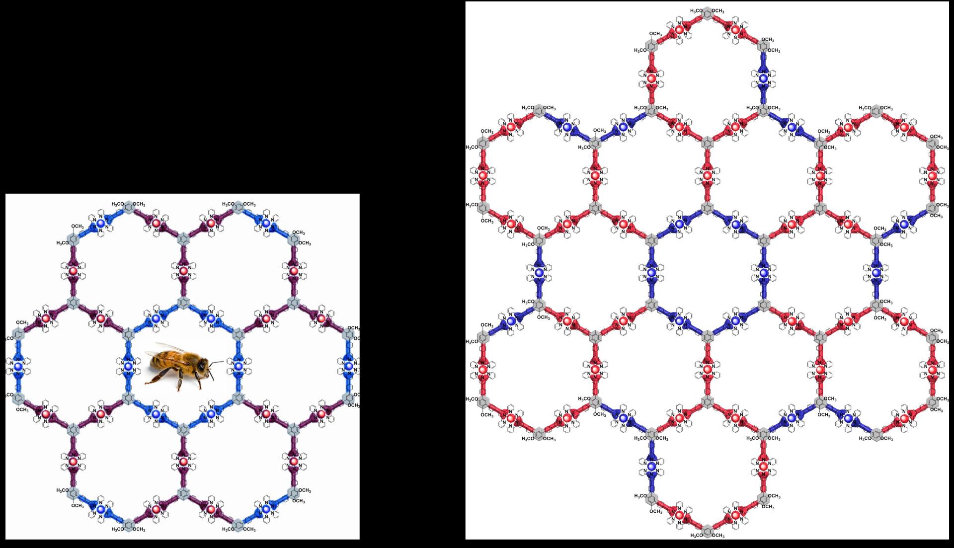 《自然-化学》杂志发表广州大学科研团队最新研究成果