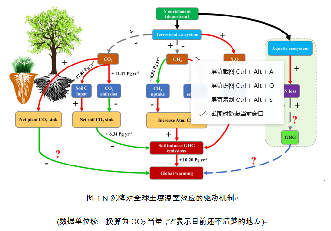 【科研新进展】（72）水保所在氮沉降对全球土壤碳库存及温室气体排放的影响研究方面取得新进展