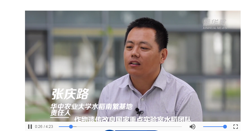 【新华社】追太阳的人