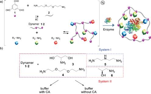 我校药学院陈敬华教授团队在《ACSCatalysis》发表研究成果