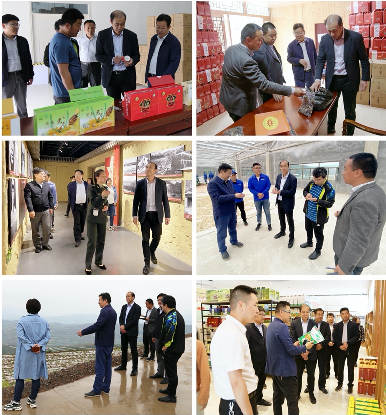 何秀超书记带队深入宕昌走访调研