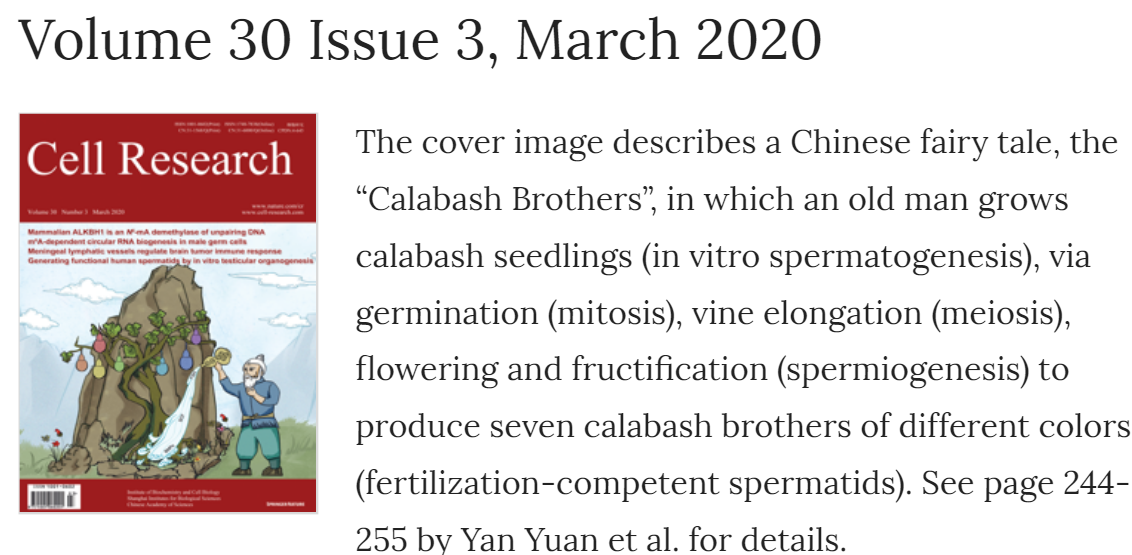 我校附属医院教师袁艳在《CellResearch》发表体外人睾丸器官发生的研究成果