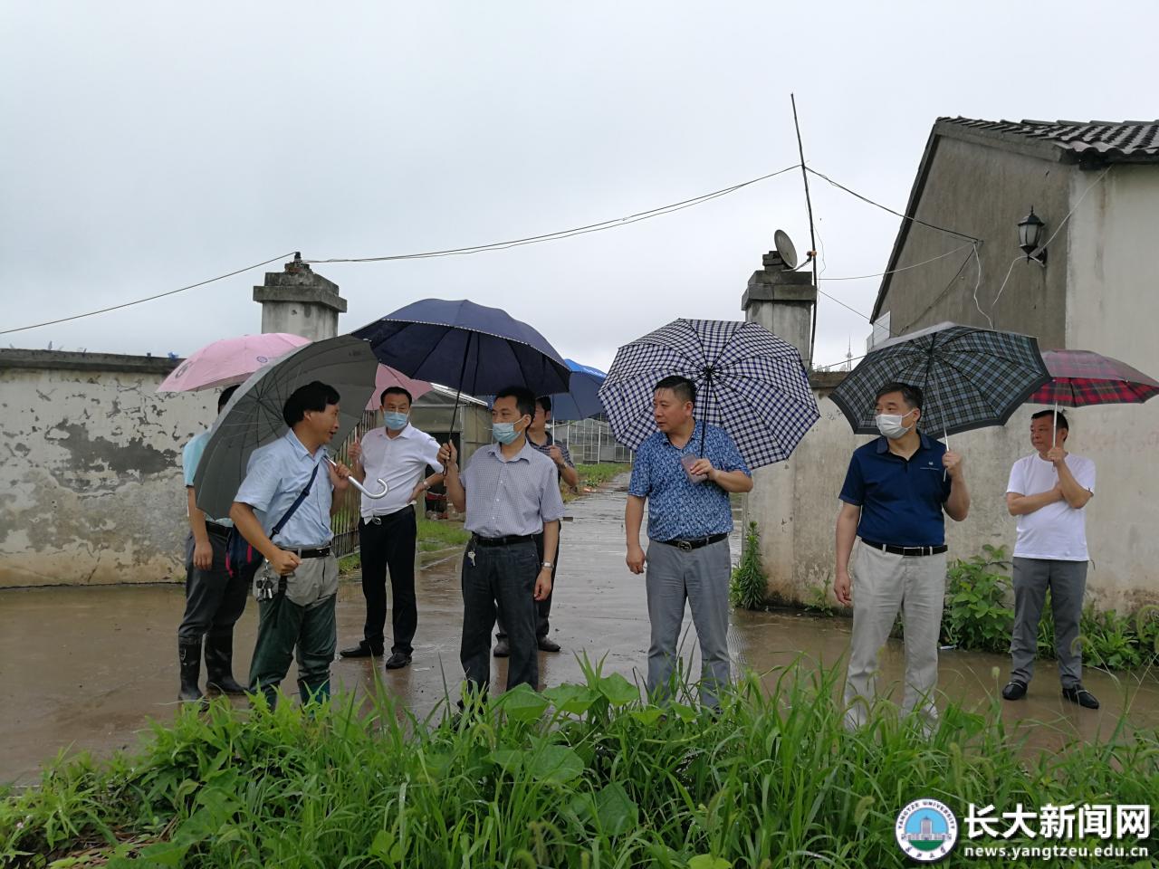 校领导检查农科试验基地防汛排涝工作