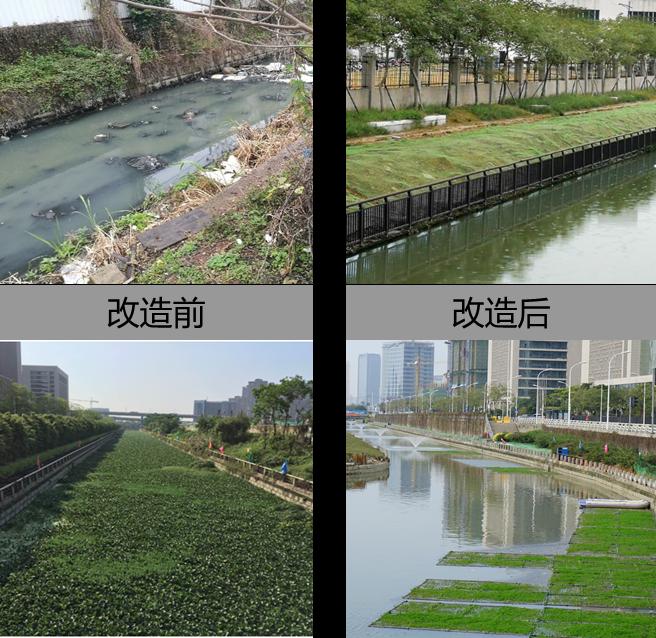上海市科学技术奖获奖成果⑧|向城市黑臭水体“亮剑”