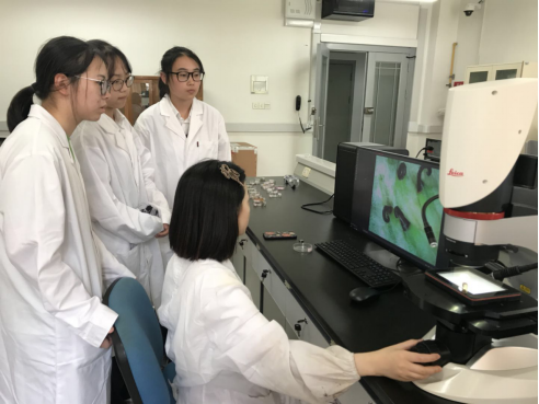 触发青春灵感，点亮科学生活我校松江区青少年科创实践工作站育人成效初显