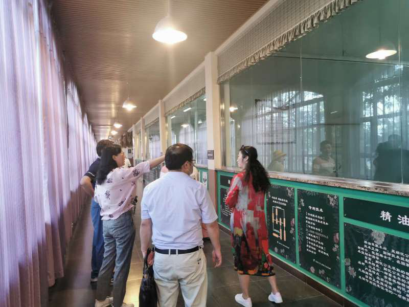 【青春践行】江南大学商学院“e路向新”调研团开展援疆助农暑期社会实践活动