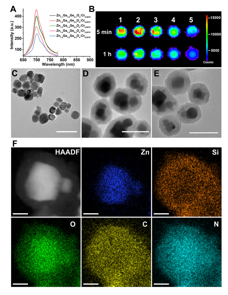 生命学院在长余辉纳米材料用于疾病诊疗一体化方向取得系列进展