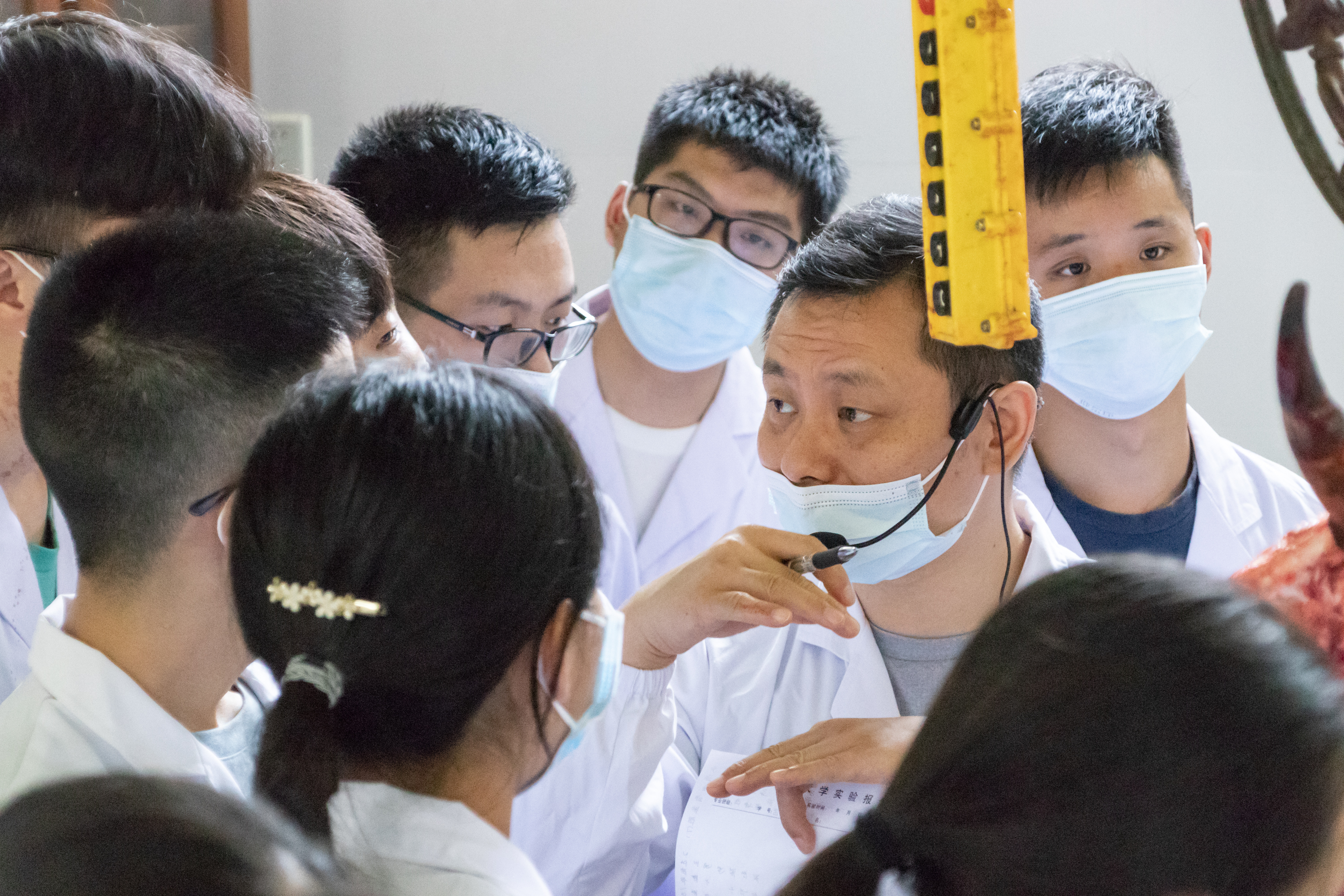 耕读不辍：把实践育人落向更实处