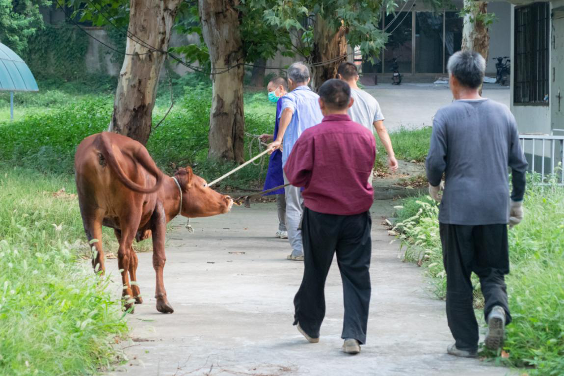 耕读不辍：把实践育人落向更实处
