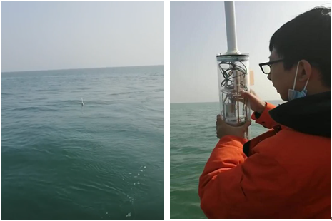 天津大学海洋学院自研“海马I”型多要素测量海洋潜标系统成功海试