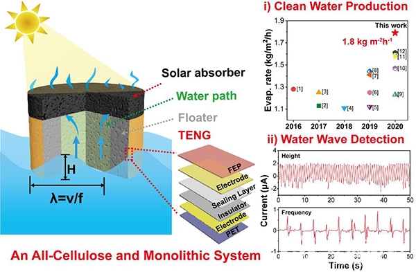 中国海洋大学在新型光/热水净化材料与智能器件研究方面取得重要进展