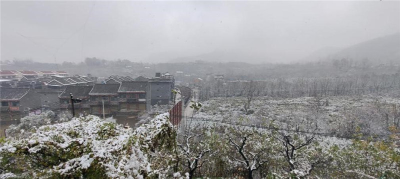 西工大“青听秦乡”实践队调研周至县翠柳镇农林村