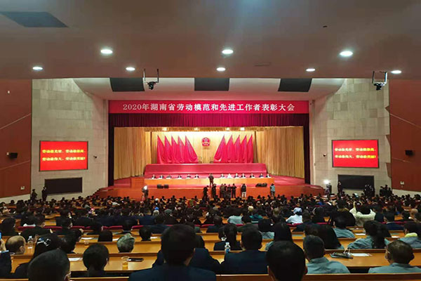 我校刘红荣教授荣膺湖南省先进工作者殊荣