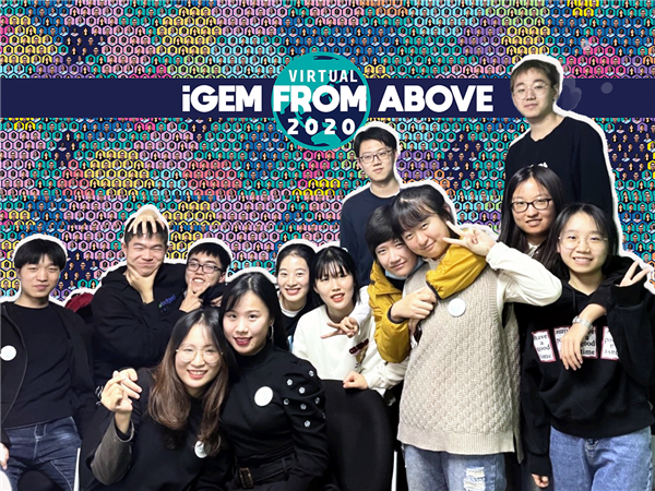 天津大学生命科学学院参赛团队TJUSLS-China在国际基因工程机器大赛中获得银牌