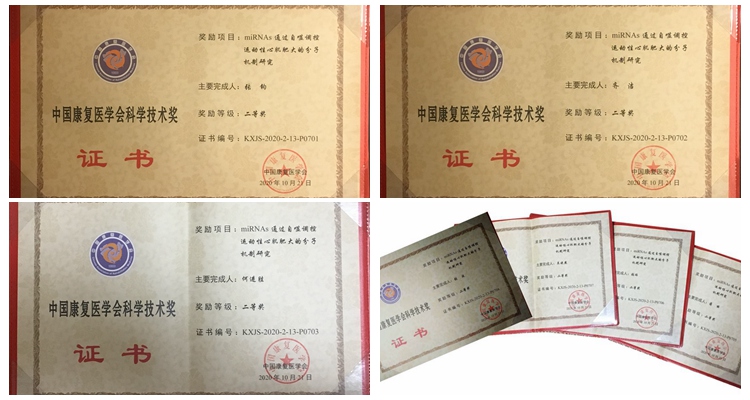 体育学院张钧教授团队研究成果获“中国康复医学会科学技术奖”二等奖