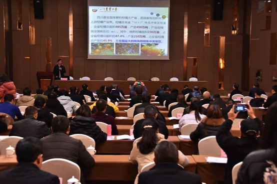 汪志辉教授带队参加2020年四川省柑橘重大技术协同推广培训会