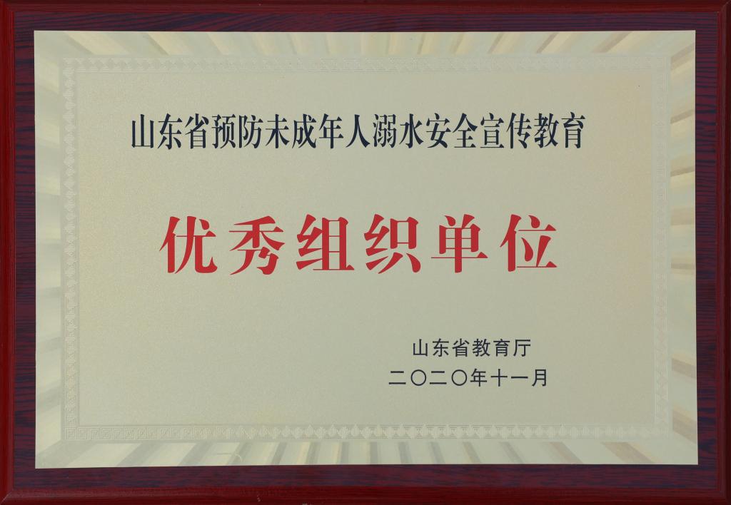 山东政法学院在全省防溺水​安全宣传教育优秀作品征集评选中获佳绩
