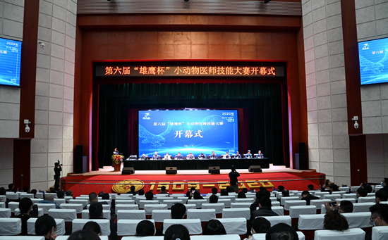 第六届“雄鹰杯”小动物医师技能大赛在我校举办兽医学子荣获团