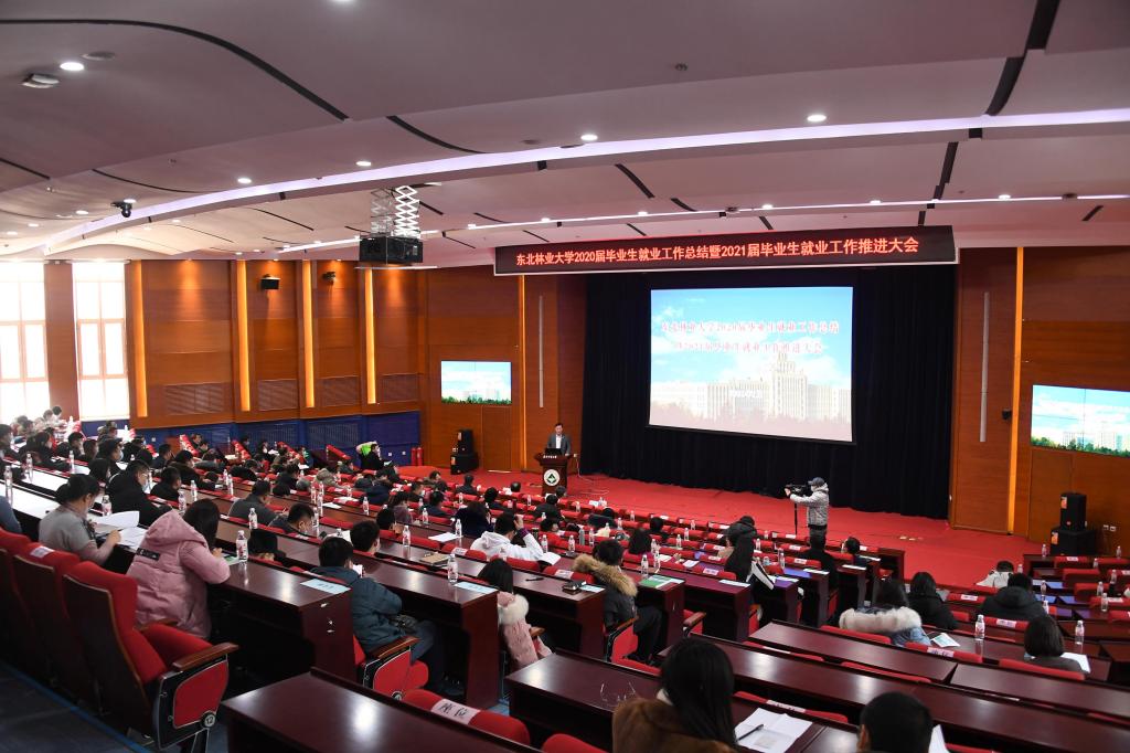 我校召开2020届毕业生就业工作总结暨2021届毕业生就业工作推进会