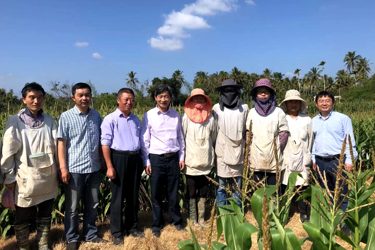 高翅、李召虎一行赴海南推进校地合作