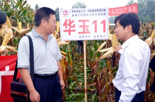南繁基地的“狮山候鸟”
