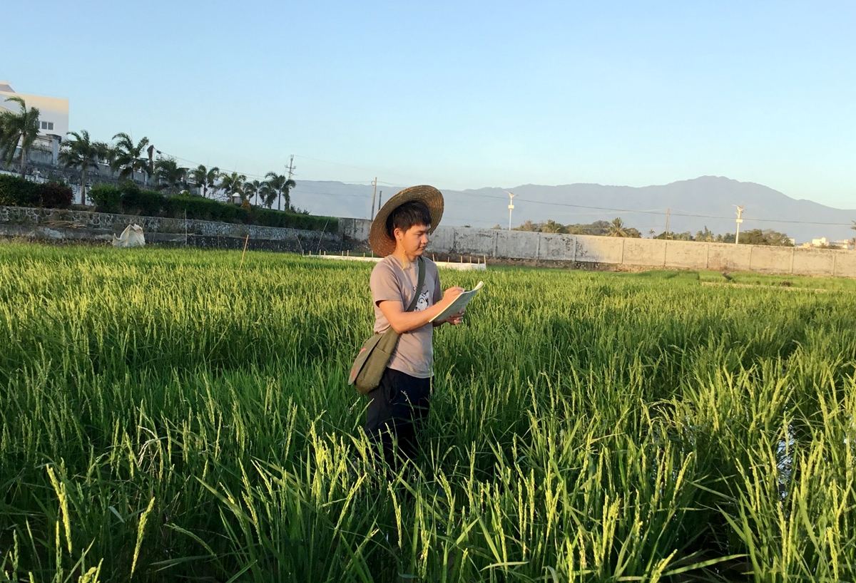 南繁基地的“狮山候鸟”
