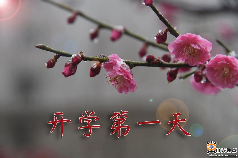 开学第一天：梅开雪舞春如画，逐梦新途再登高