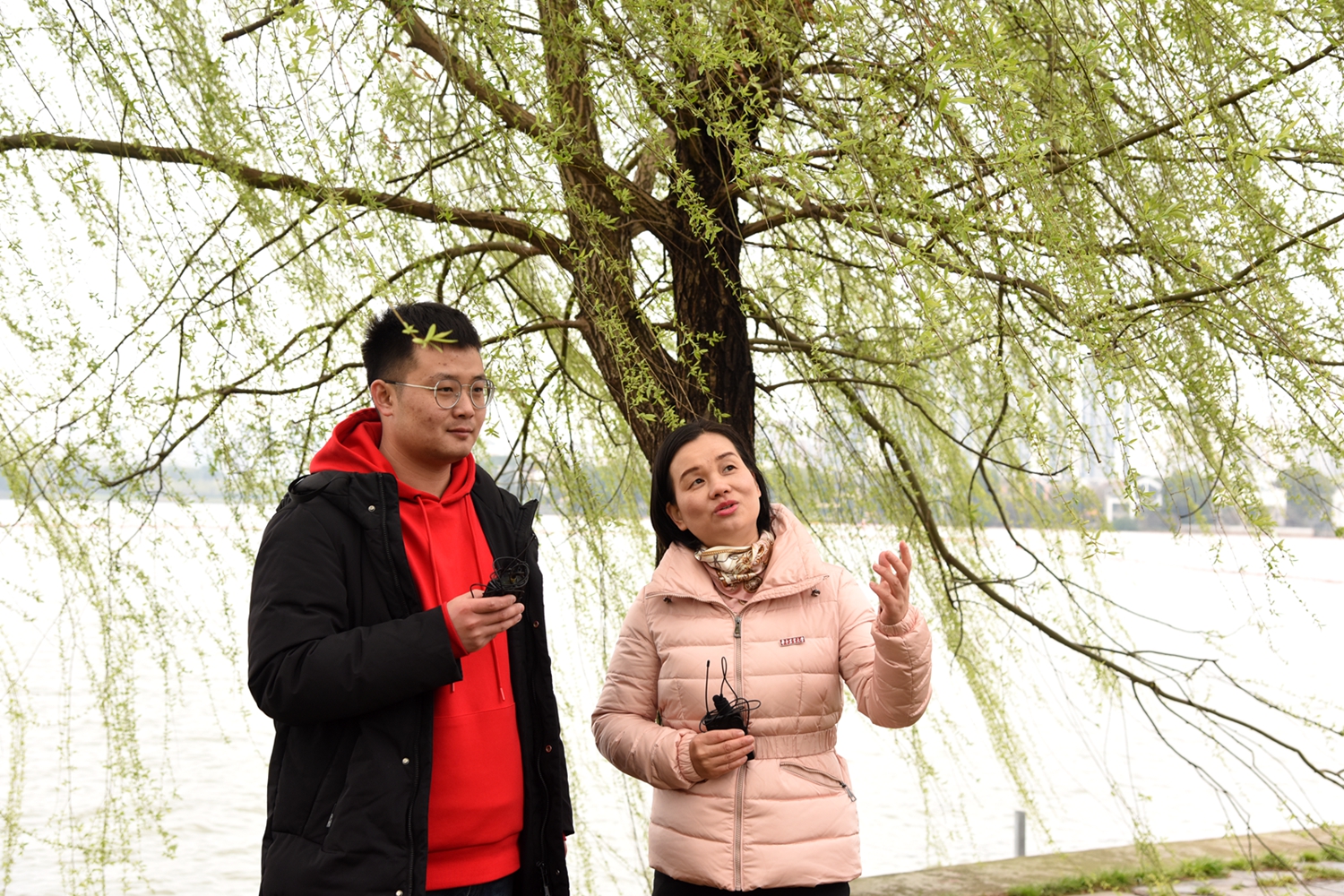 【云赏狮山春】湖岸边畔赏翠柳湖心亭中闹元宵