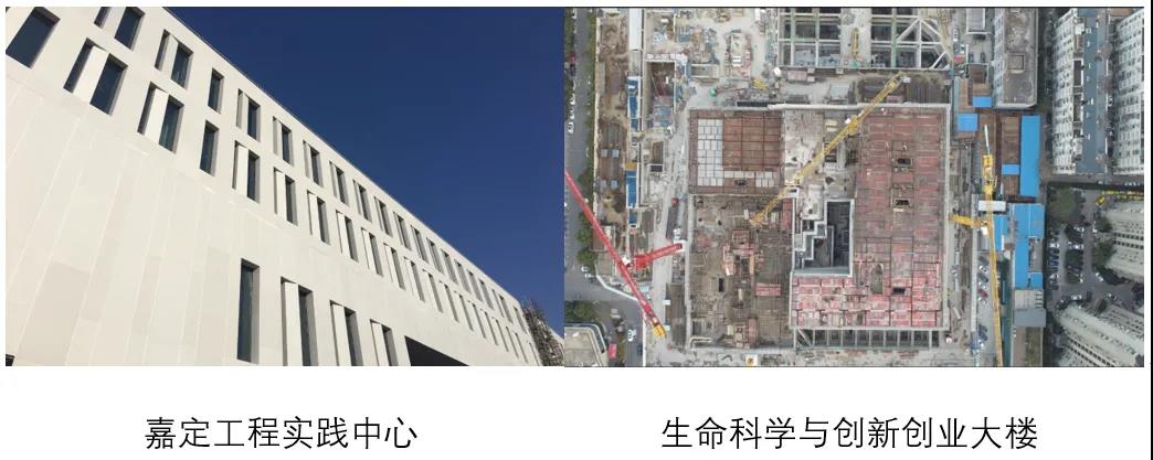 “三全育人”进行时⑮|建设美丽平安校园，基建处助力推进“三全育人”
