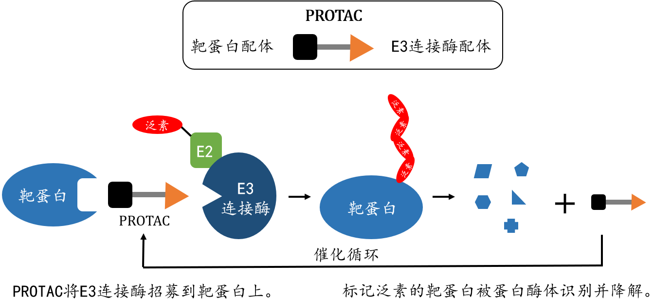 药学院饶燏团队及合作者在CDK2降解剂设计与应用方面取得突破