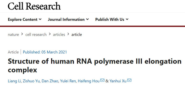 生物医学研究院徐彦辉团队揭示人源RNA聚合酶III转录延伸复合物的结构和转录调控机制