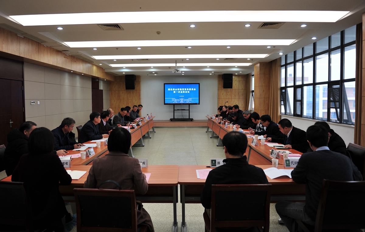 湖北洪山实验室举行室务委员会第一次全体会议