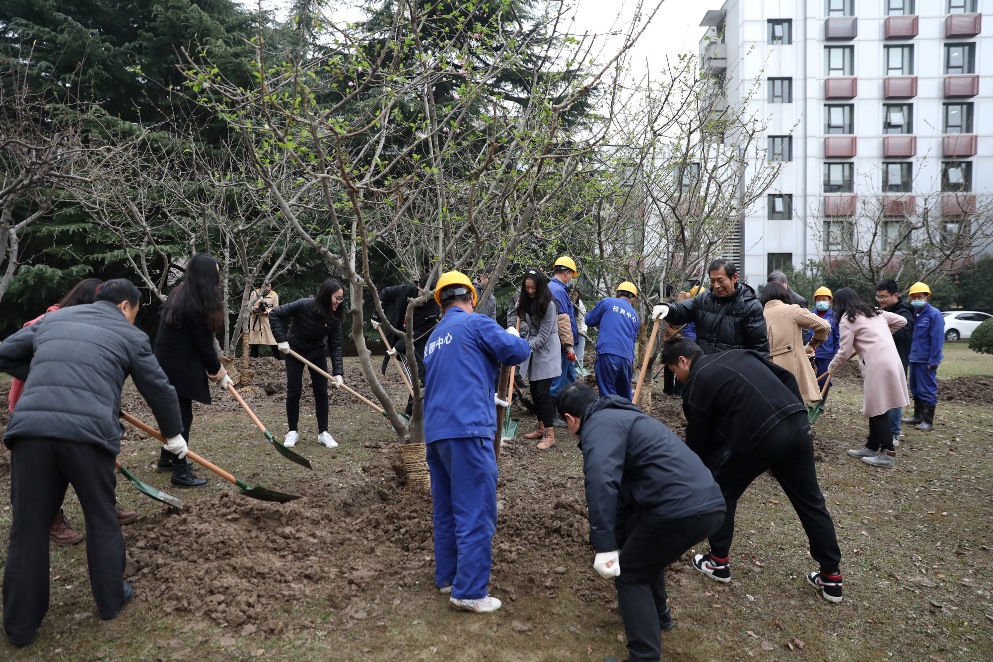 2021年华东师大义务植树活动举行