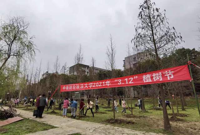 “312”植树节师生共植百株水杉为建党百年献礼