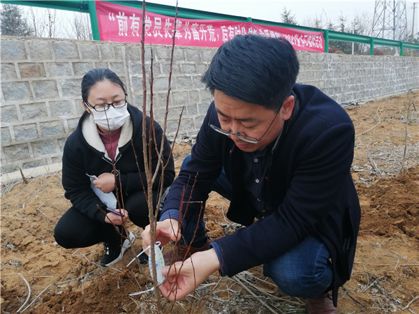青岛海洋技术研究院开展“助力乡村振兴，践行劳动精神，献礼建党百年”植树活动