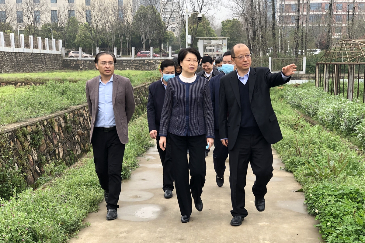 湖北省副省长肖菊华来校调研洪山实验室建设情况