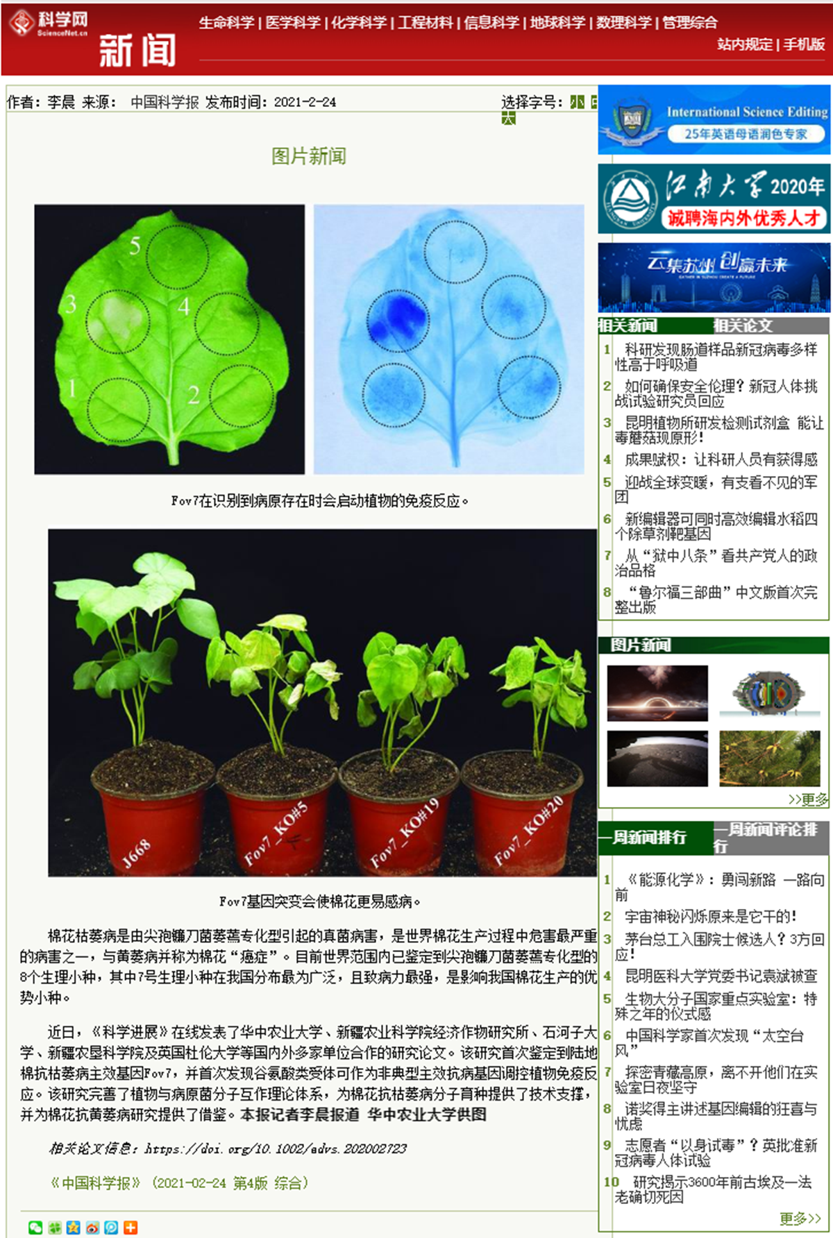 【中国科学报】华中农大等学校学者攻克棉花抗枯萎分子育种技术瓶颈