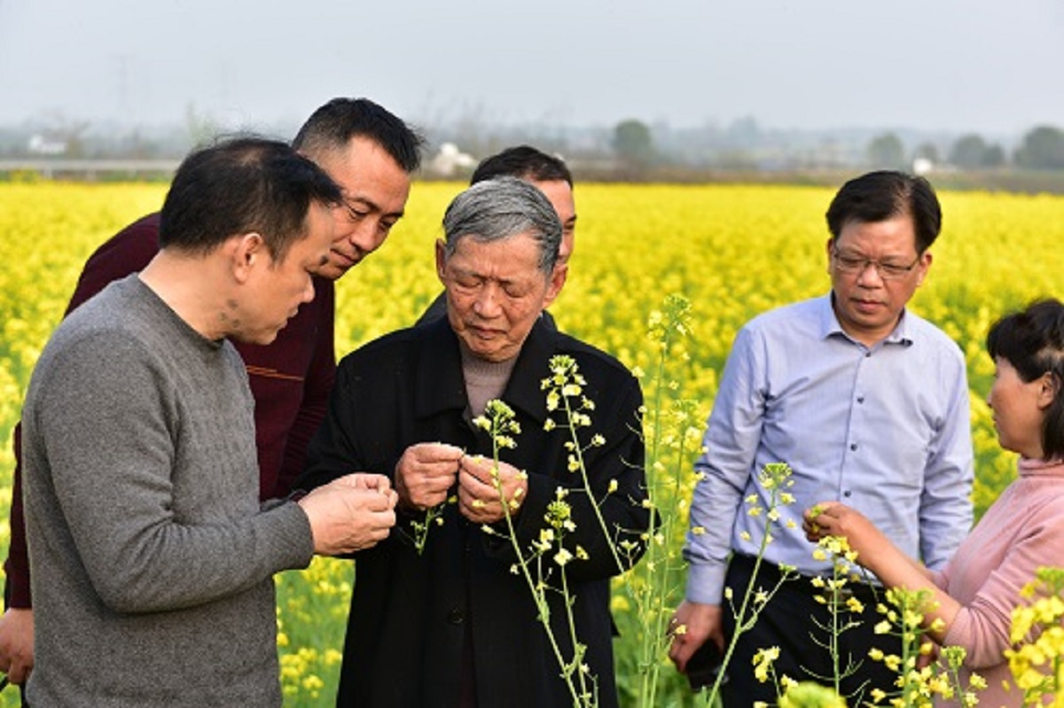 【中国科学网】傅廷栋：油菜产业发展的关键是效益