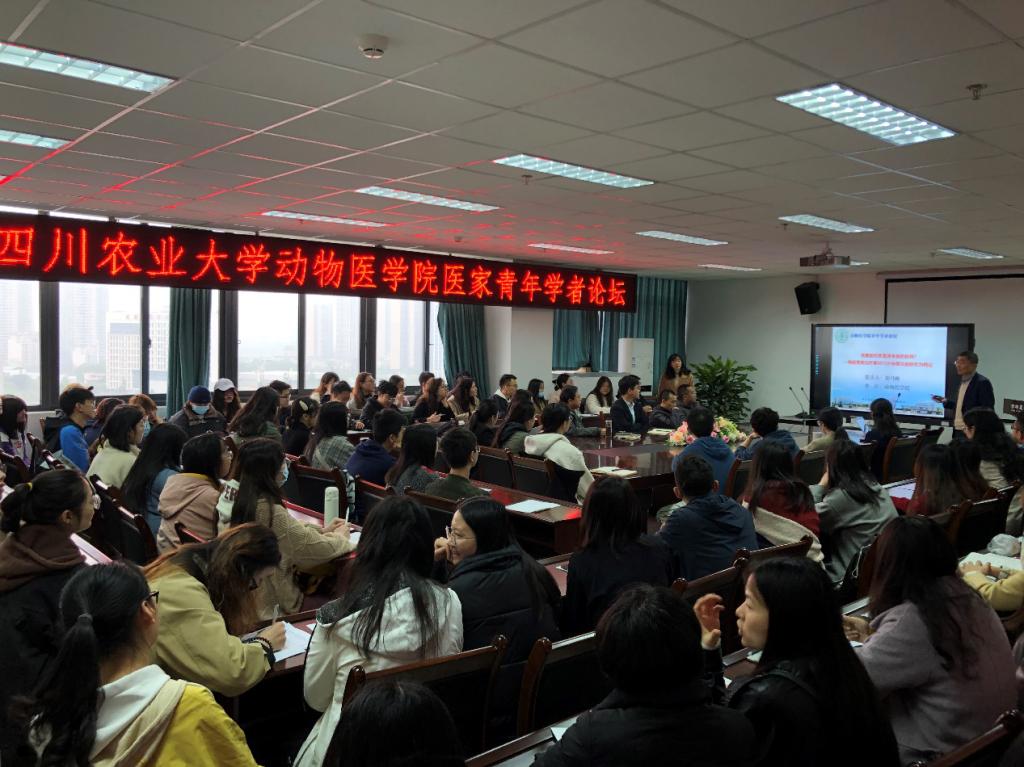 动医青年学者论坛碰撞科研和育人火花