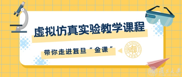 虚实结合！这些实验课上，你能像“打游戏”一样模拟环境变化，还能在线“解剖”大脑