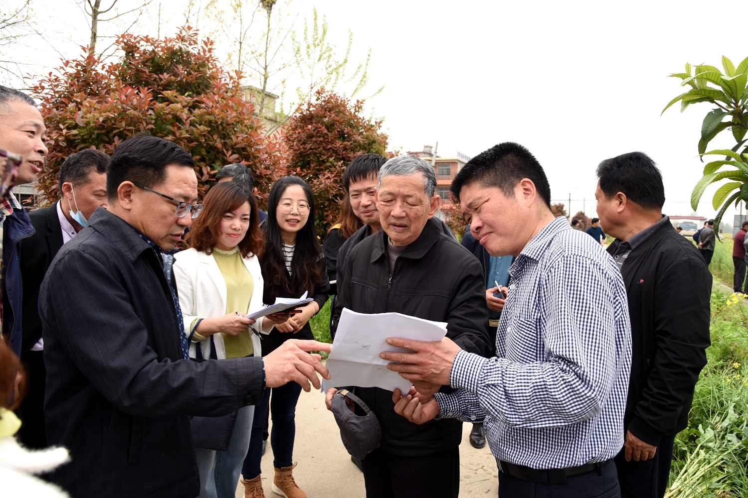 亩产3472公斤！“稻-再-油”轮作模式受青睐